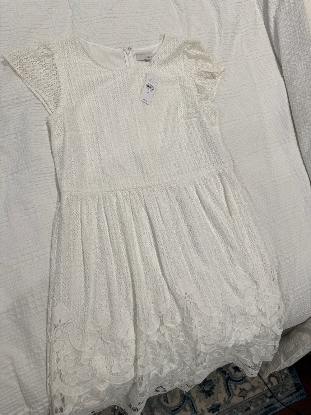 LOFT Cream Lace Short Sleeve Girls Dress
